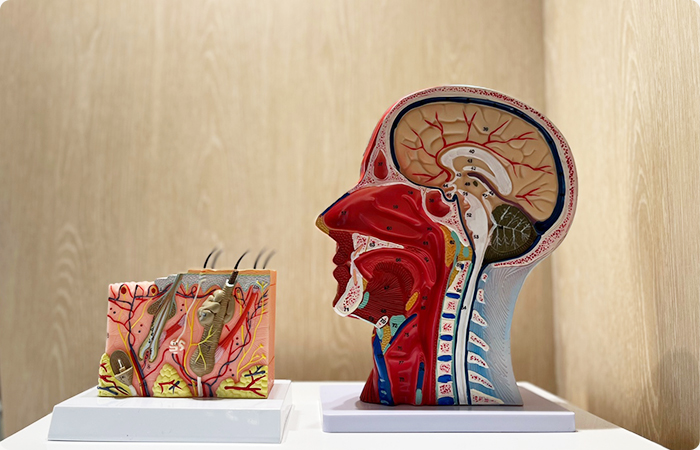 기초 이론 교육