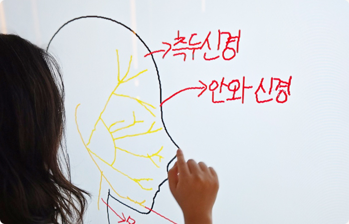 전문가 심화 과정